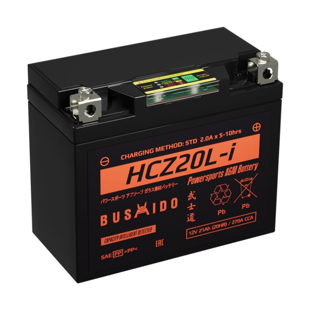 BUSHIDO MOTO 21 Ah О.П. (HCZ20L-i)