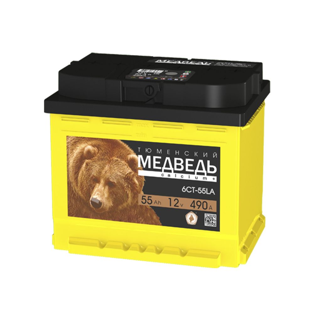 МЕДВЕДЬ 55Ah П.П.