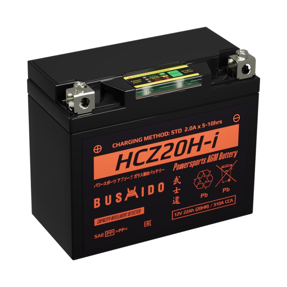 BUSHIDO moto 15,5Ah П.П. HCX14-i