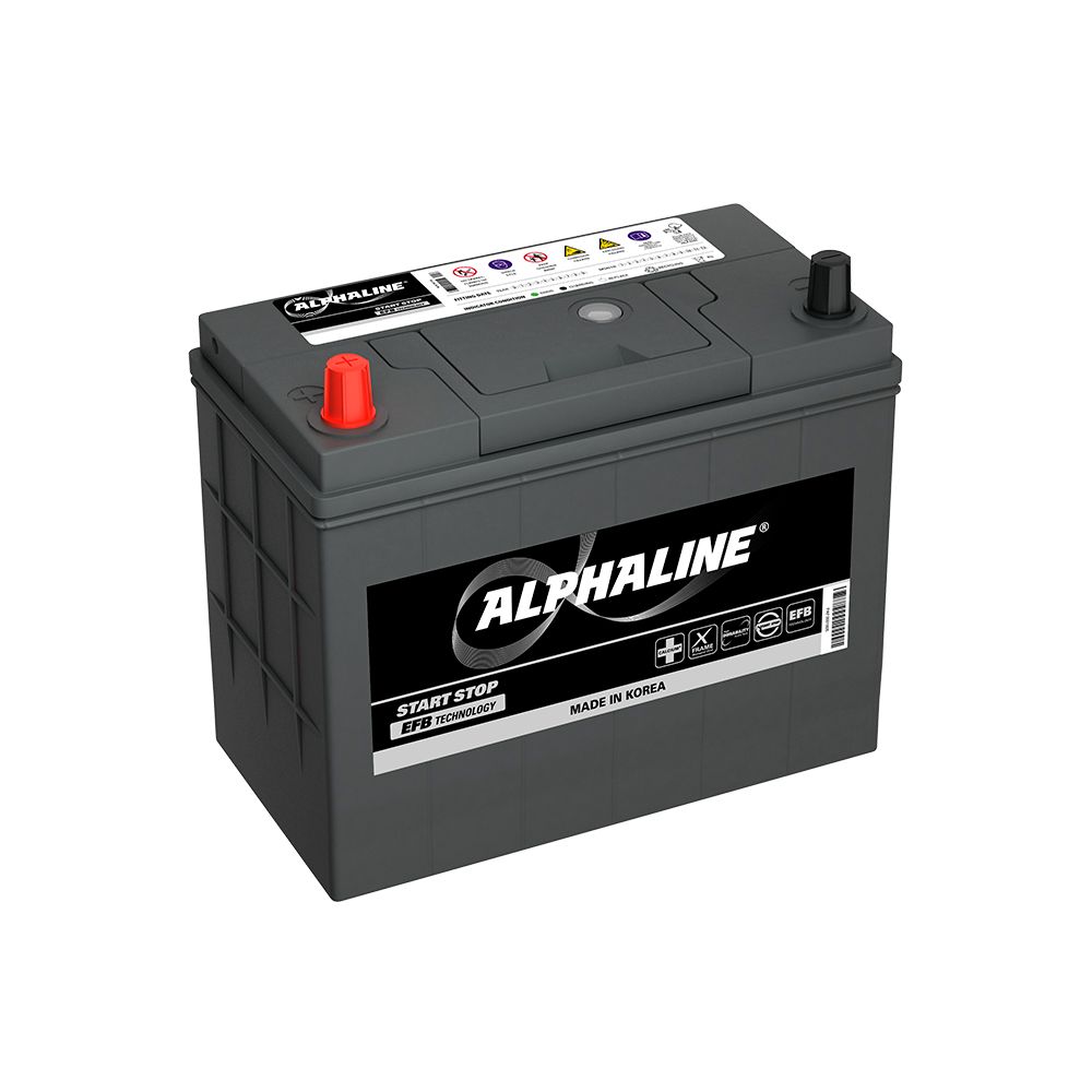 ALPHALINE EFB 40Ah П.П. M42